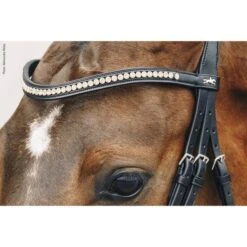 Schockemöhle Stirnriemen Diamond Select Schwarz/Peach -Waldhausen Verkäufe 2024 schockemohle 1102 00079 browbanddiamondselect peach img16.e0df4a