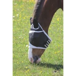 Shires Fliegenmaske Mit Ohren Robust Mesh Schwarz 12 Shires Fliegenmaske Mit Ohren Robust Mesh Schwarz -Waldhausen Verkäufe 2024 shires 6668 black 2.f7306e