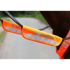 Shires Trensen/Halster Reflektierende Streifen Gelb One Size -Waldhausen Verkäufe 2024 shires 9402 orange.01c4b8
