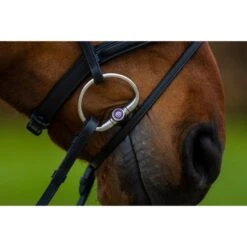 Trust Zaum Amsterdam Braun/Silber -Waldhausen Verkäufe 2024 trust amsterdam comb anatomic noseband wider in middle heus23l296423.0f216b