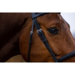 Trust Zaum Amsterdam Braun/Silber -Waldhausen Verkäufe 2024 trust amsterdam comb anatomic noseband wider in middle heus23l296425.825f89