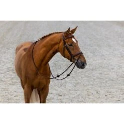 Trust Zaum Calgary Braun/Silber -Waldhausen Verkäufe 2024 trust calgary comb noseband classic heus23l296403.9c1f28