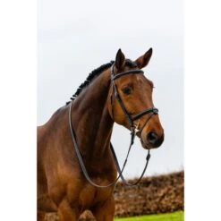 Trust Zaum Geneva Braun/Silber -Waldhausen Verkäufe 2024 trust geneva comb noseband strap passes over wide anatomic headpiece heus23l296388.0afd4b