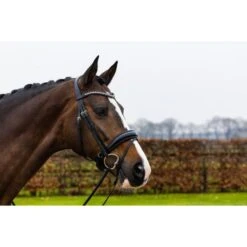 Trust Zaum Rotterdam Schwarz/Silber -Waldhausen Verkäufe 2024 trust rotterdam dressage bridle anatomic patent crank noseband heus23l296343.9aec8c