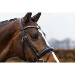 Trust Zaum Rotterdam Schwarz/Silber -Waldhausen Verkäufe 2024 trust rotterdam dressage bridle anatomic patent crank noseband heus23l296344.96c422