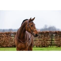 Trust Zaum St. Gallen Schwarz/Silber -Waldhausen Verkäufe 2024 trust st gallen rope noseband heus23l296398 1.fe1002