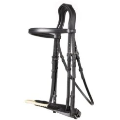 Trust Zaum St. Gallen Schwarz/Silber