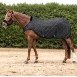 Waldhausen Führanlagendecke Exclusive Nightblue -Waldhausen Verkäufe 2024 wald 6330601 125 20.29017f