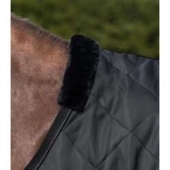 Waldhausen Führanlagendecke Exclusive Nightblue -Waldhausen Verkäufe 2024 wald 6330601 125 21.5718a5