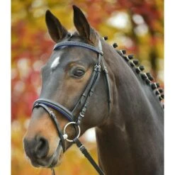 Star Trense Diamond Englisch Kombiniert Fuchsia -Waldhausen Verkäufe 2024 wald 81357005 pon 22.01292e 1