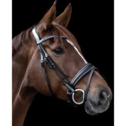 Waldhausen Trensenzaum S-Line Glamour Schwarz -Waldhausen Verkäufe 2024 wald 9808301 vb 13.650c4d