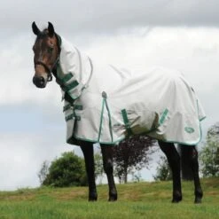 Weatherbeeta Regendecke Combo Neck Lite Plus 900d Black/Bottle Green -Waldhausen Verkäufe 2024 wb 1005159010 wb grn tec cb lp image null hero.1057f7