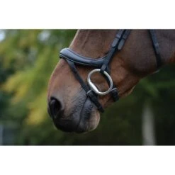 Collegiate Zaum Comfitec Vogue Anatomisch Schwarz -Waldhausen Verkäufe 2024 wb 1006376000 black cl vgu antmcl brdl feature noseband.721f85