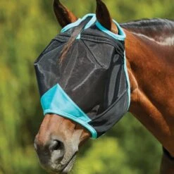 Weatherbeeta Fliegenmaske Comfitec Deluxe Fine Mesh Navy/Türkis -Waldhausen Verkäufe 2024 wb 1006938000 blackturquoise wb fly mask image hero null.60e7bb