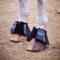 Weatherbeeta Hufglocken Prime Weiß -Waldhausen Verkäufe 2024 wb 804799 stand.c6298c