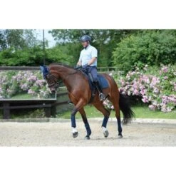 Weatherbeeta Fleecebandagen Prime 4 Stück Schwarz 3,5m -Waldhausen Verkäufe 2024 wb 815061 815077 803084 l1.99f0d9