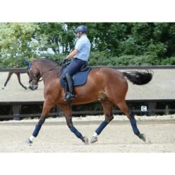 Weatherbeeta Fleecebandagen Prime 4 Stück Schwarz 3,5m -Waldhausen Verkäufe 2024 wb 815061 815077 803084 l2.fd3197