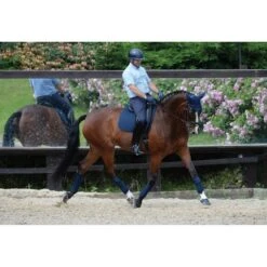 Weatherbeeta Fleecebandagen Prime 4 Stück Schwarz 3,5m -Waldhausen Verkäufe 2024 wb 815061 815077 803084 l3.516250