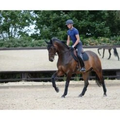 Weatherbeeta Fleecebandagen Prime 4 Stück Schwarz 3,5m -Waldhausen Verkäufe 2024 wb 815067 815075 803079 l1.40dc7e