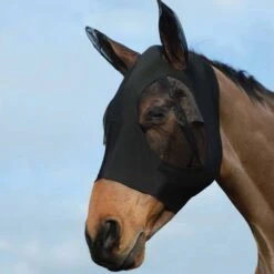 Weatherbeeta Fliegenmaske Stretch Bug Eye Saver Mit Ohren Schwarz/Schwarz -Waldhausen Verkäufe 2024 wb 819102 wb stretch bug eye saver image lifestyle.66bb81