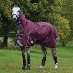 Weatherbeeta Regendecke Comfitec Plus Dynamic II Combo Neck Lite Grün/Grau/Rot -Waldhausen Verkäufe 2024 weatherbeeta 1006910010 wb cft pdynmc ii cmb image hero null.b1ff05