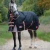 Weatherbeeta Therapy Rug Comfitec Premier Therapy-Tec Detach-A-Neck Lite Plus Schwarz/Silber/Rot -Waldhausen Verkäufe 2024 weatherbeetacomfitecpremiertherapy tecdetach a necklite pluszwartzilverrood.35dc9d