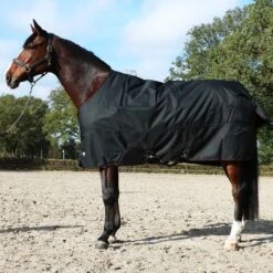 Eskadron Turnout Rug Gamma 840D 150g Schwarz -Waldhausen Verkäufe 2024 web 44652445.8c645b
