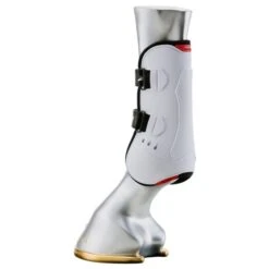 Zandona Sehnenschutz Carbon Air Velcro Braun -Waldhausen Verkäufe 2024 za e2110v white back leg.5d6dc6