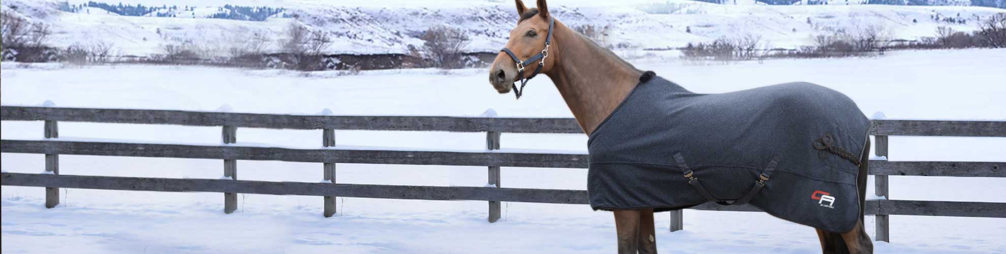 Waldhausen Verkäufe 2024 -Waldhausen Verkäufe 2024 banner654