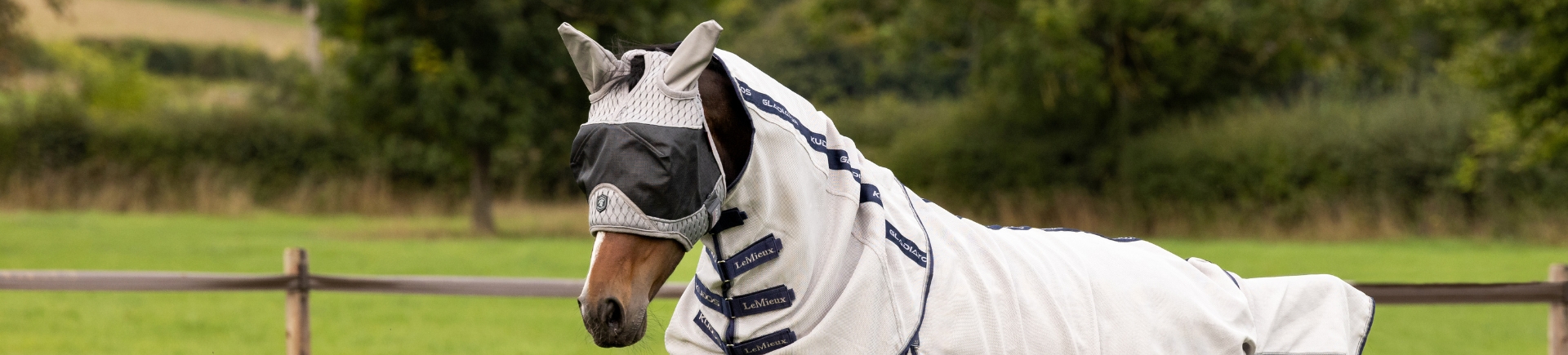 Waldhausen Verkäufe 2024 -Waldhausen Verkäufe 2024 banner655